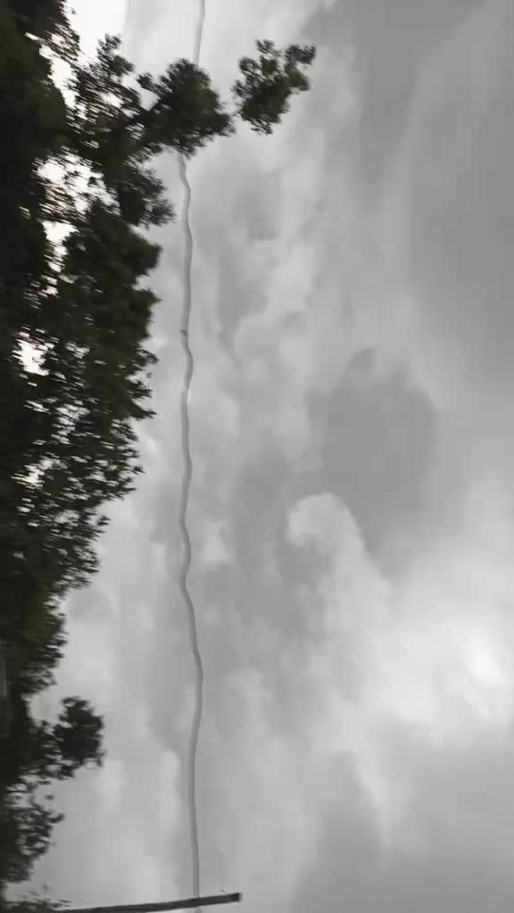 @☺️🍁দোলা🍁☺️