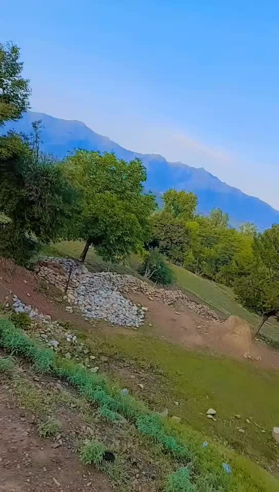 @Shahid karim205