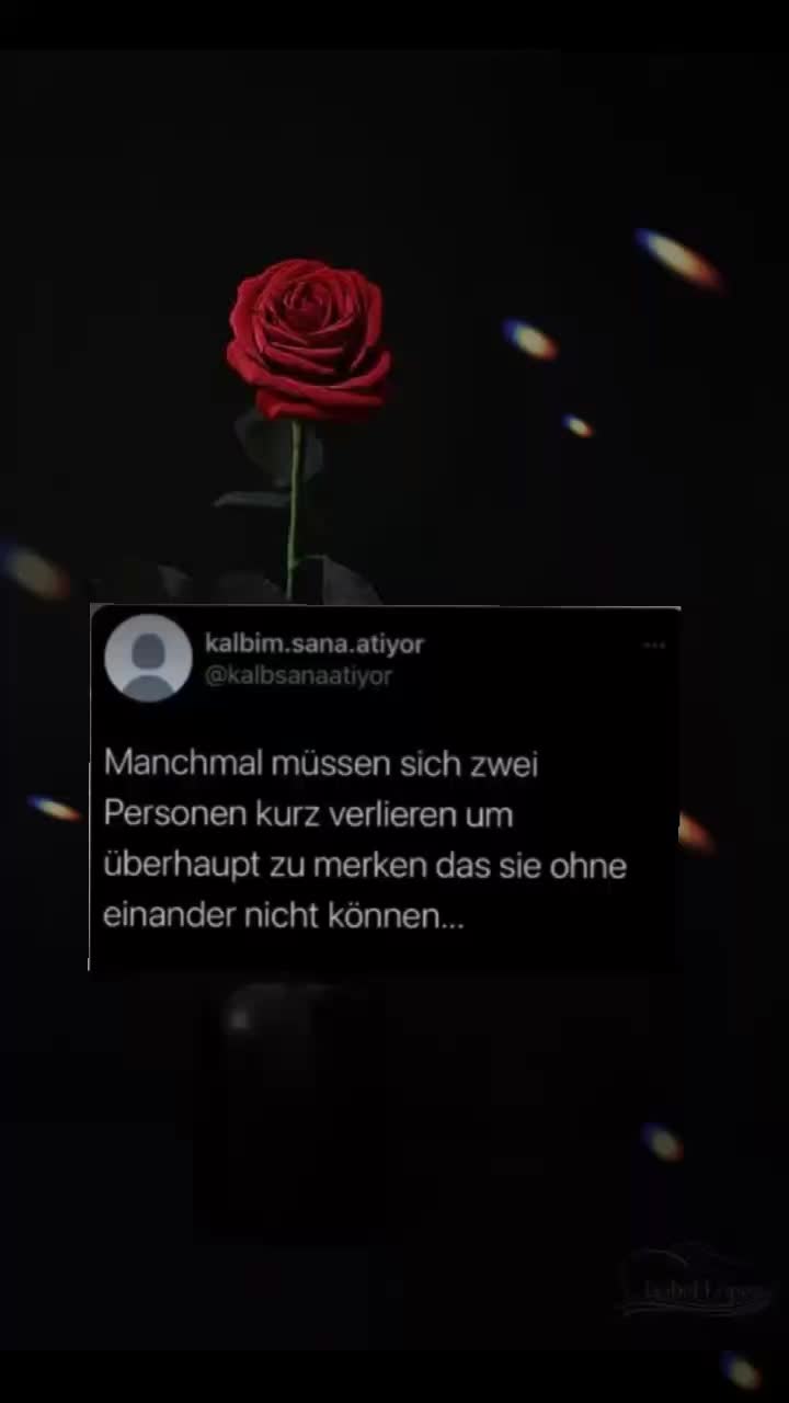 @.•♫•♬🌺𝔸𝕨𝕚𝕟🌺•♫•♬.