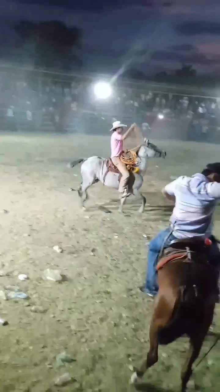 @cruz LM10