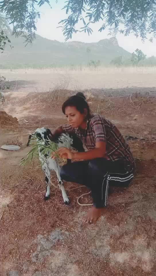 @Akhila Reddy