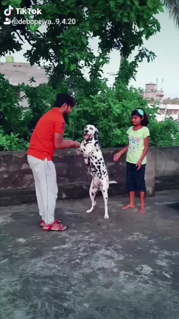 @user7468792195662