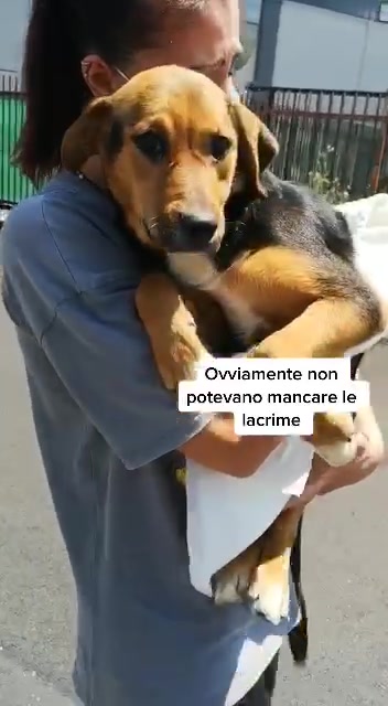 @𝐂𝐀𝐑𝐎𝐋𝐀