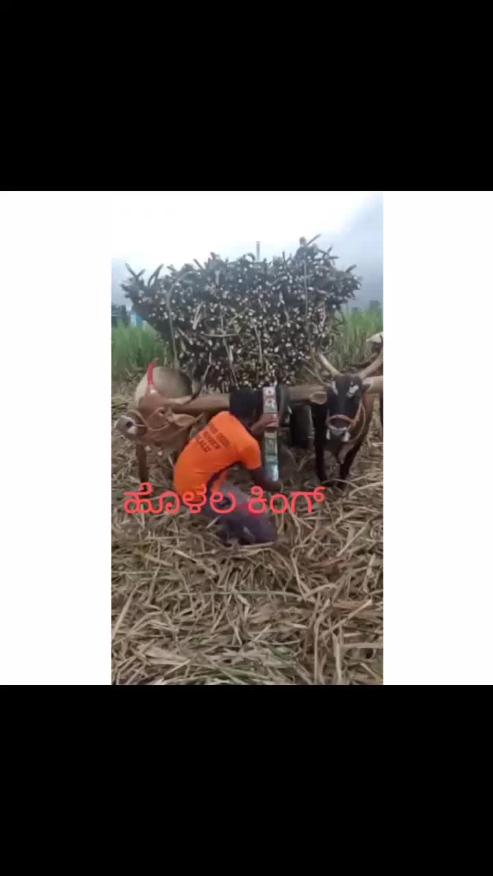 @user857515338024