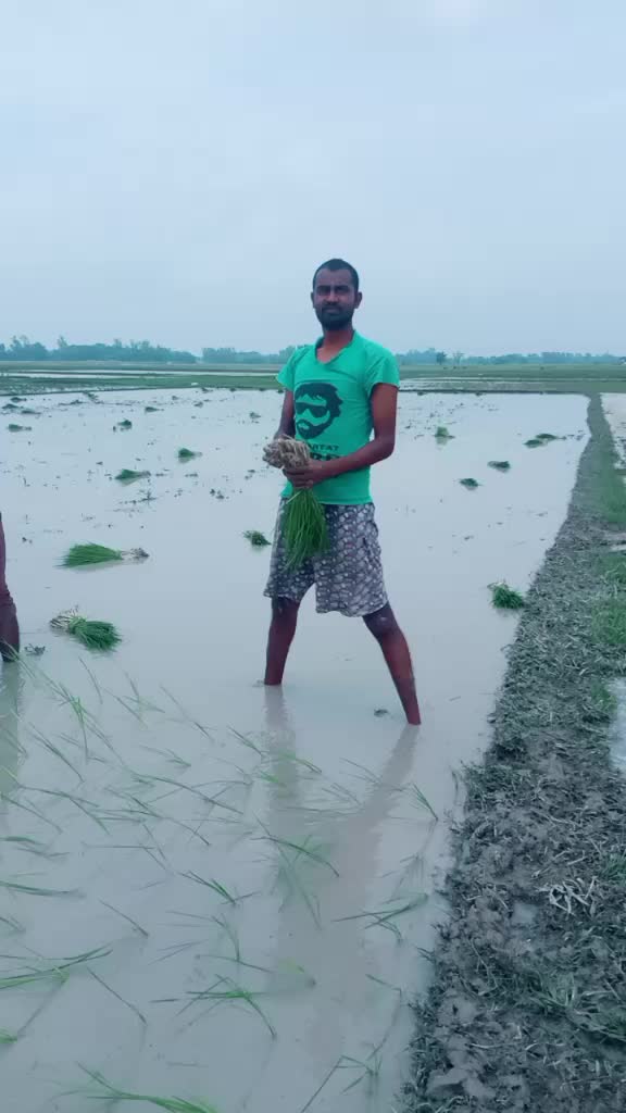 @Ashok Rajbhar