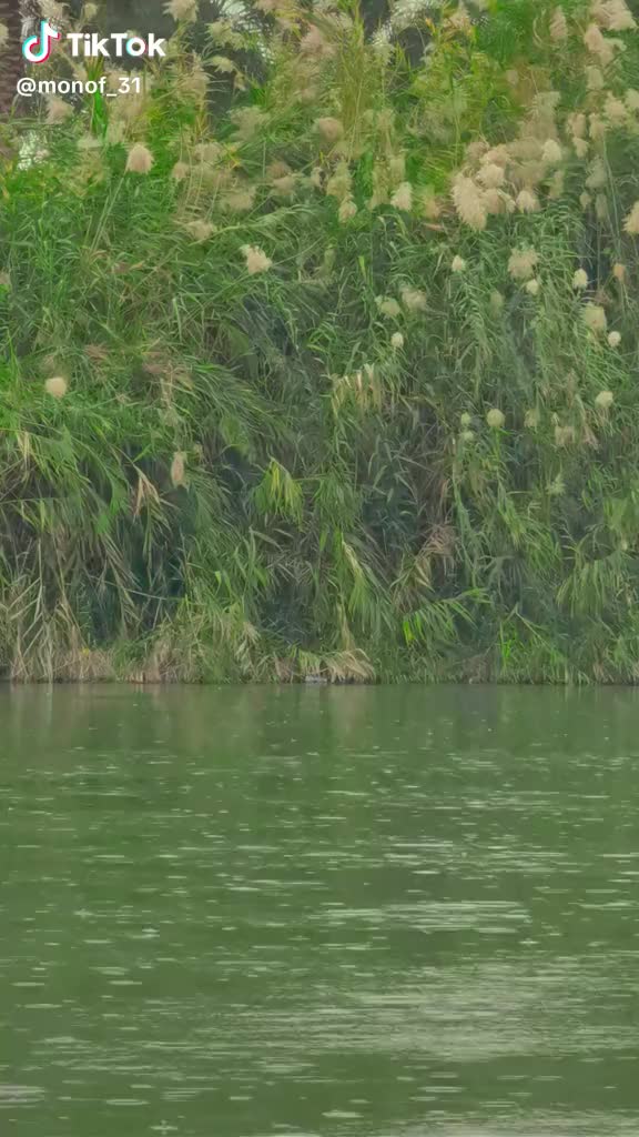 @علي الطائي