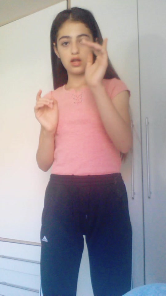 @Gulbin Wali