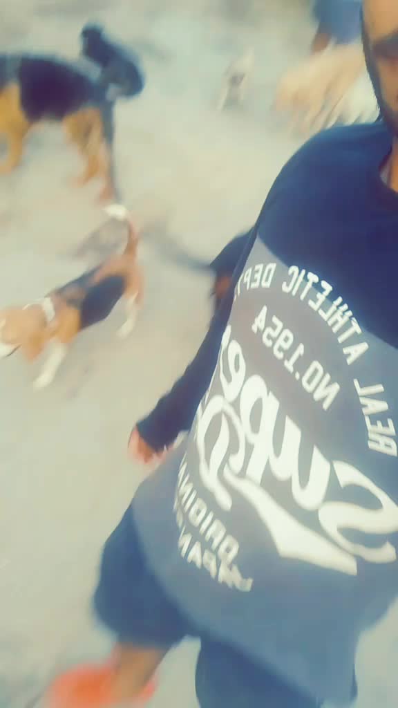 @taransidhu922