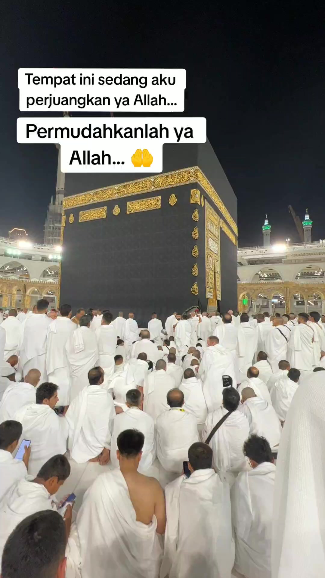 @Ega Dwi Zamiko