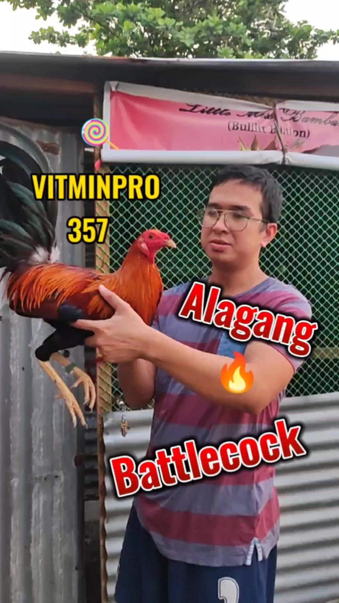 @RDDgamefowlbreeder