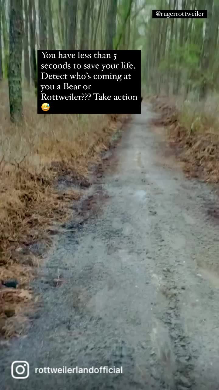 @RottweilerRuger