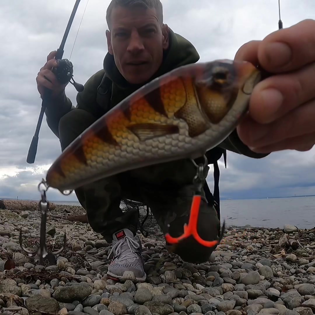 @79Lures