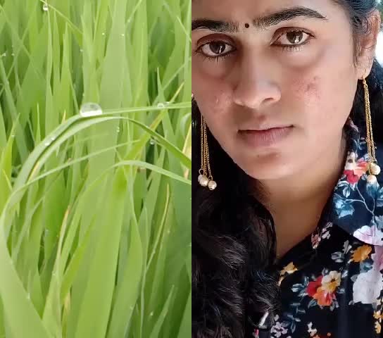 @Sanjay m