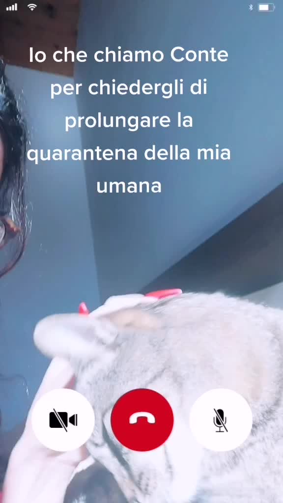 @Sara Gadda