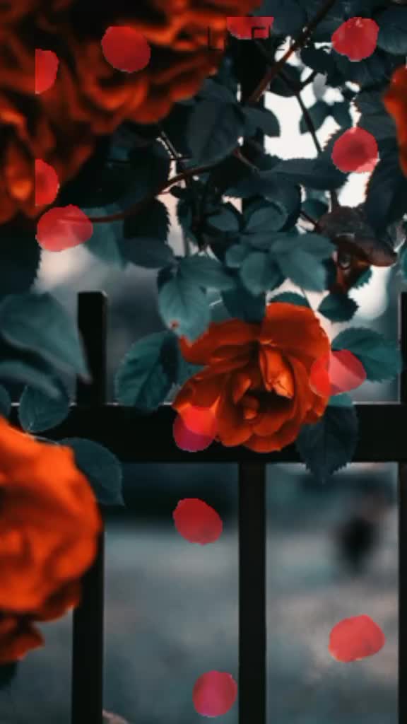 @shehbazali7700