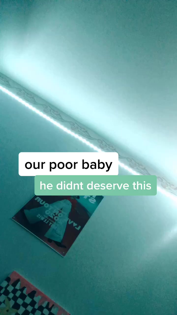 @harry styles
