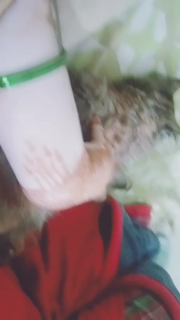 @Lế Việt Việt