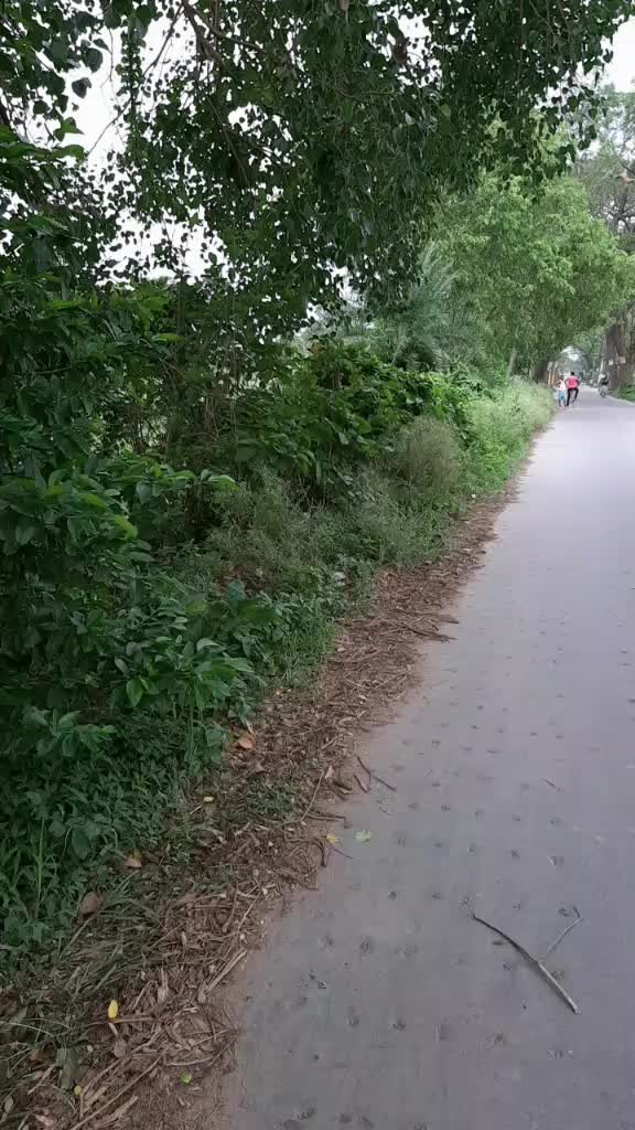 @Bablu Parui Parui