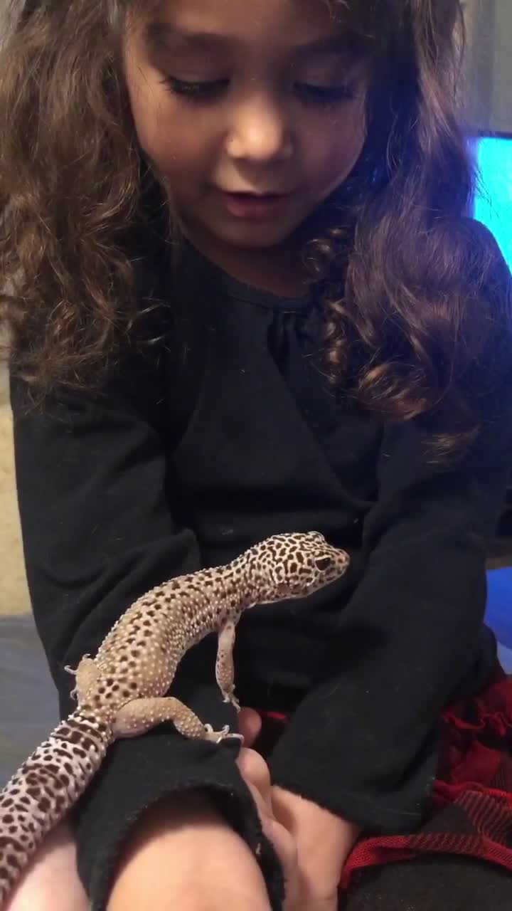@StephyWal13
