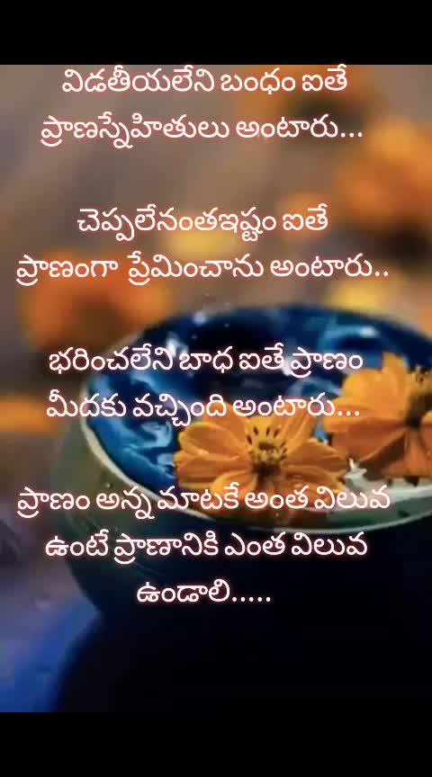 @vizagboy Sunny