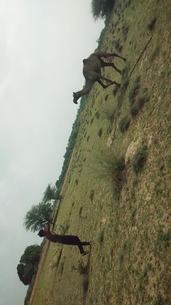 @🏝️Sardar🌿Gurjar💞