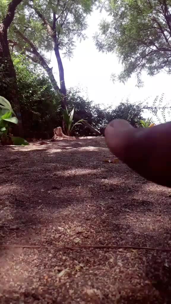 @ogeppa