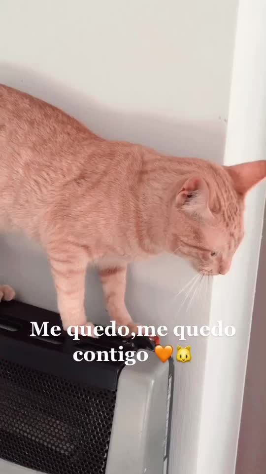 @Arthur Insfran