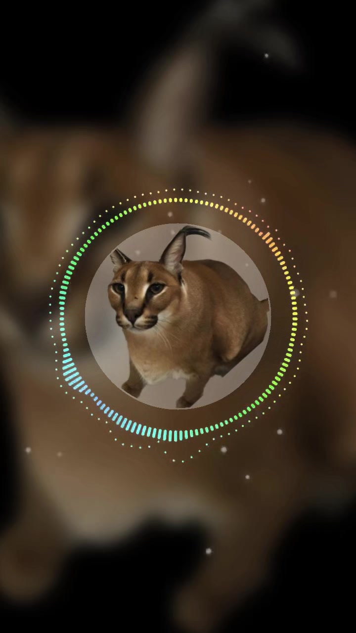 @𝙁𝙇𝙊𝙋𝙋𝘼_𝙈𝙀𝙈𝙀𝙍𝙊100