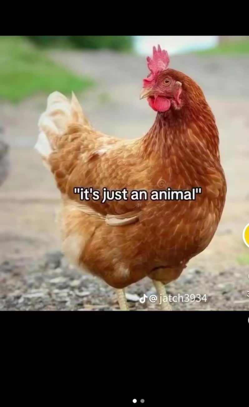@Andreaspjr