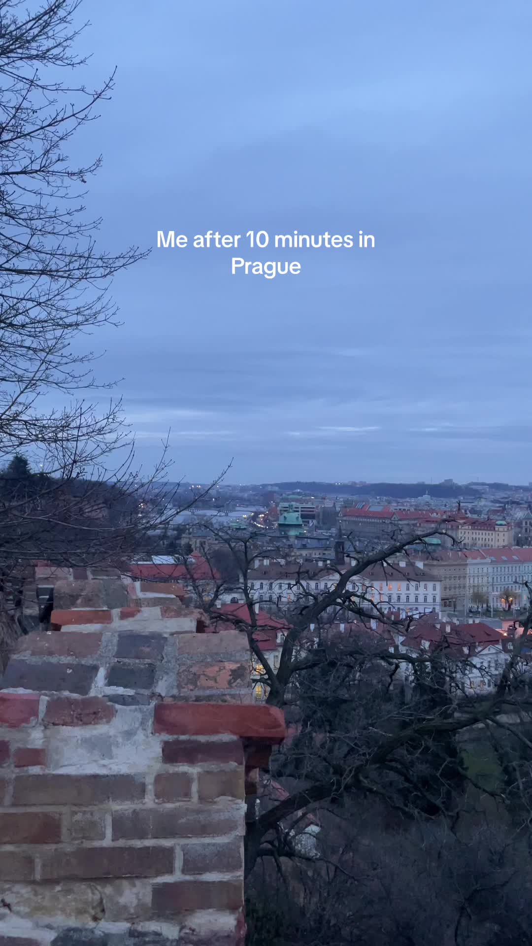 @isabella.fvg