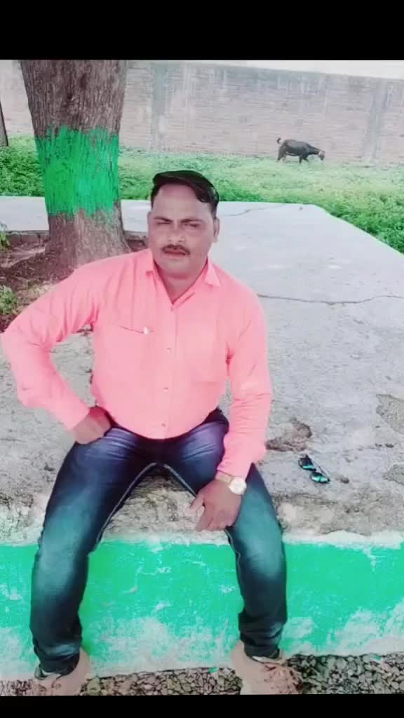 @afsarsayed422238