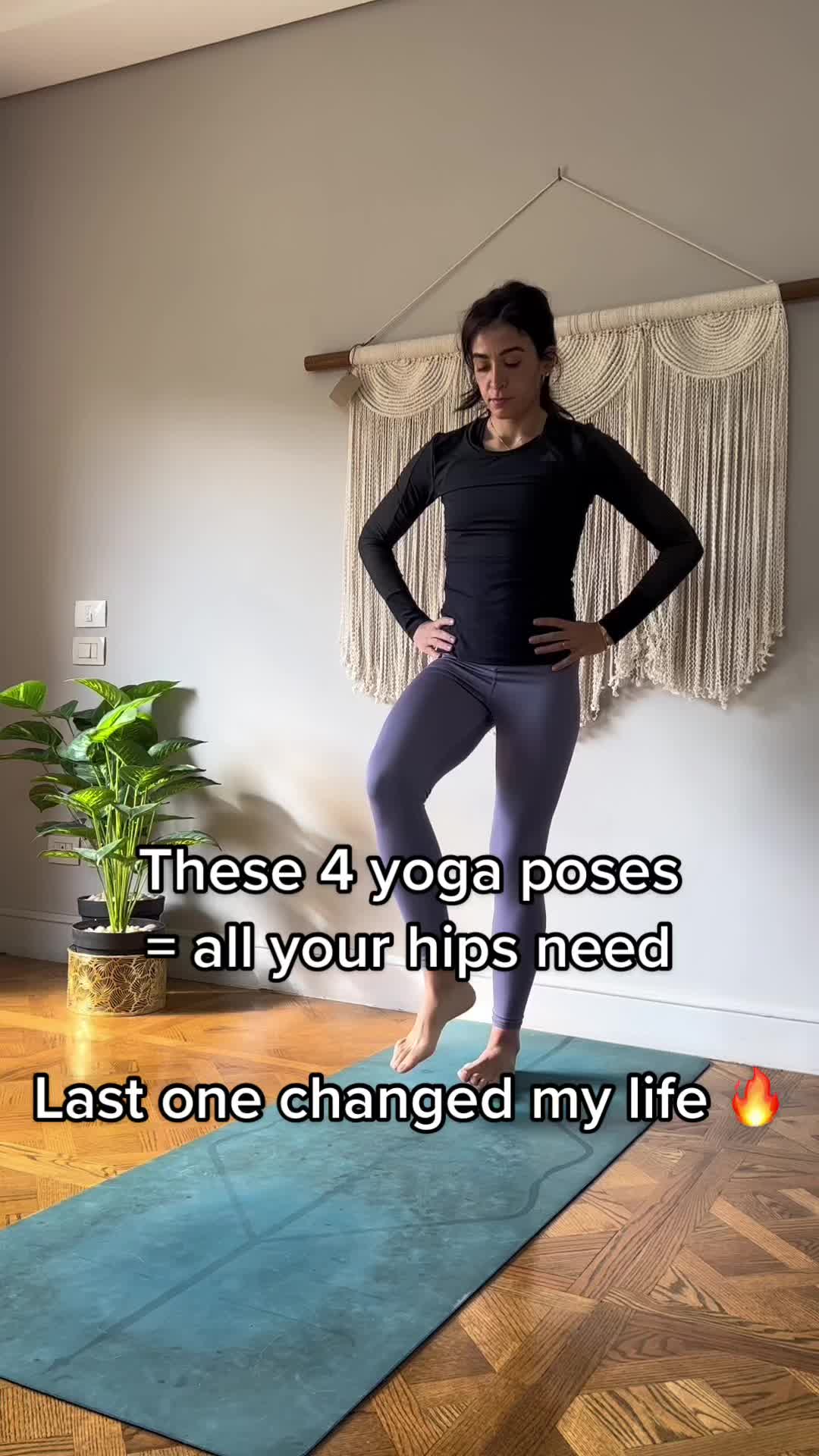 @Farah Ehsan