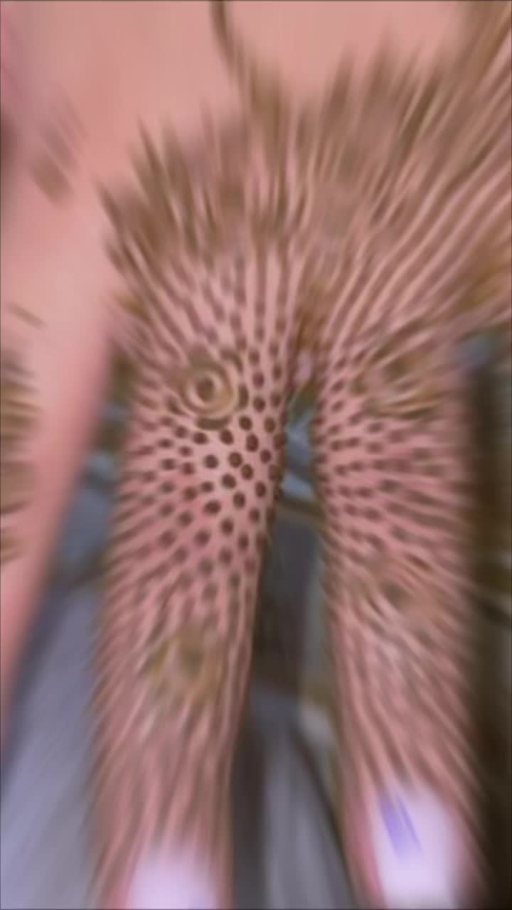 @Sara🫶🏻🪬