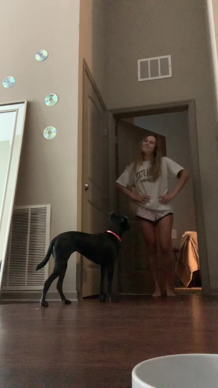 @lexitootle