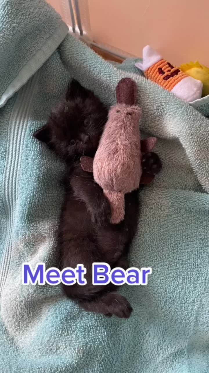 @everydayjoywithjo