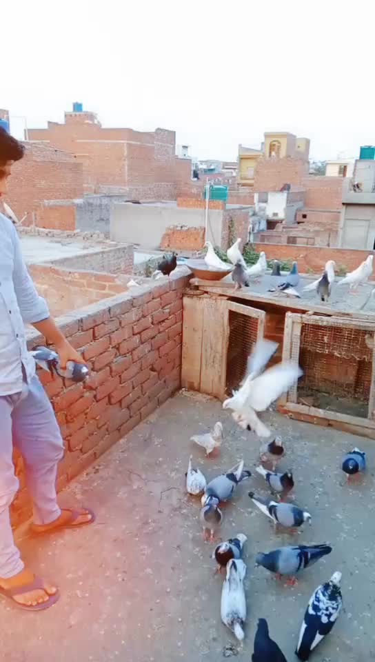 @Faizkhan Faizkhan