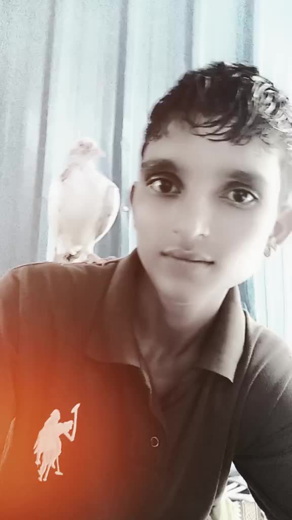 @MAULI