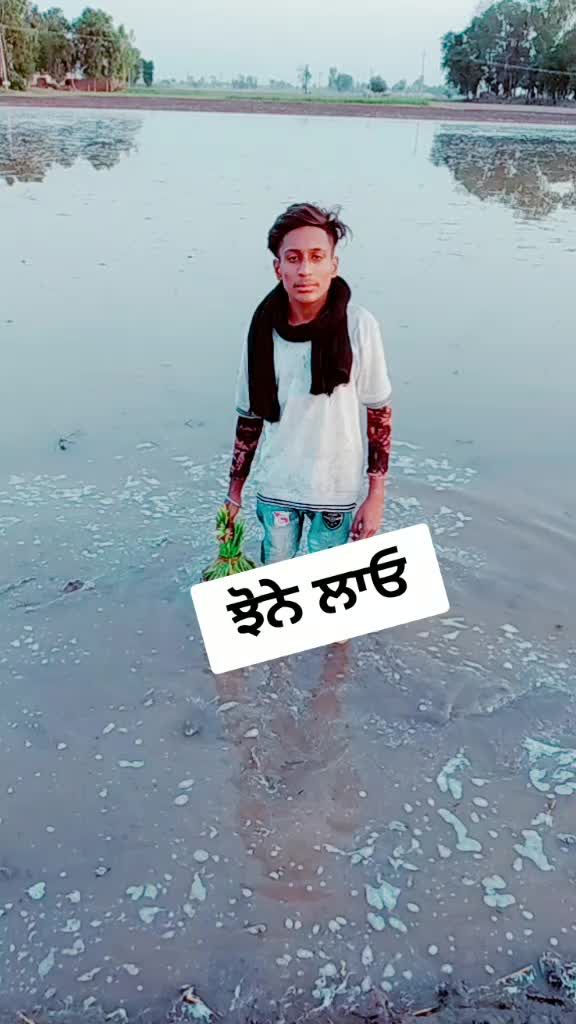 @Raman