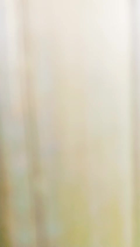 @amulya raj