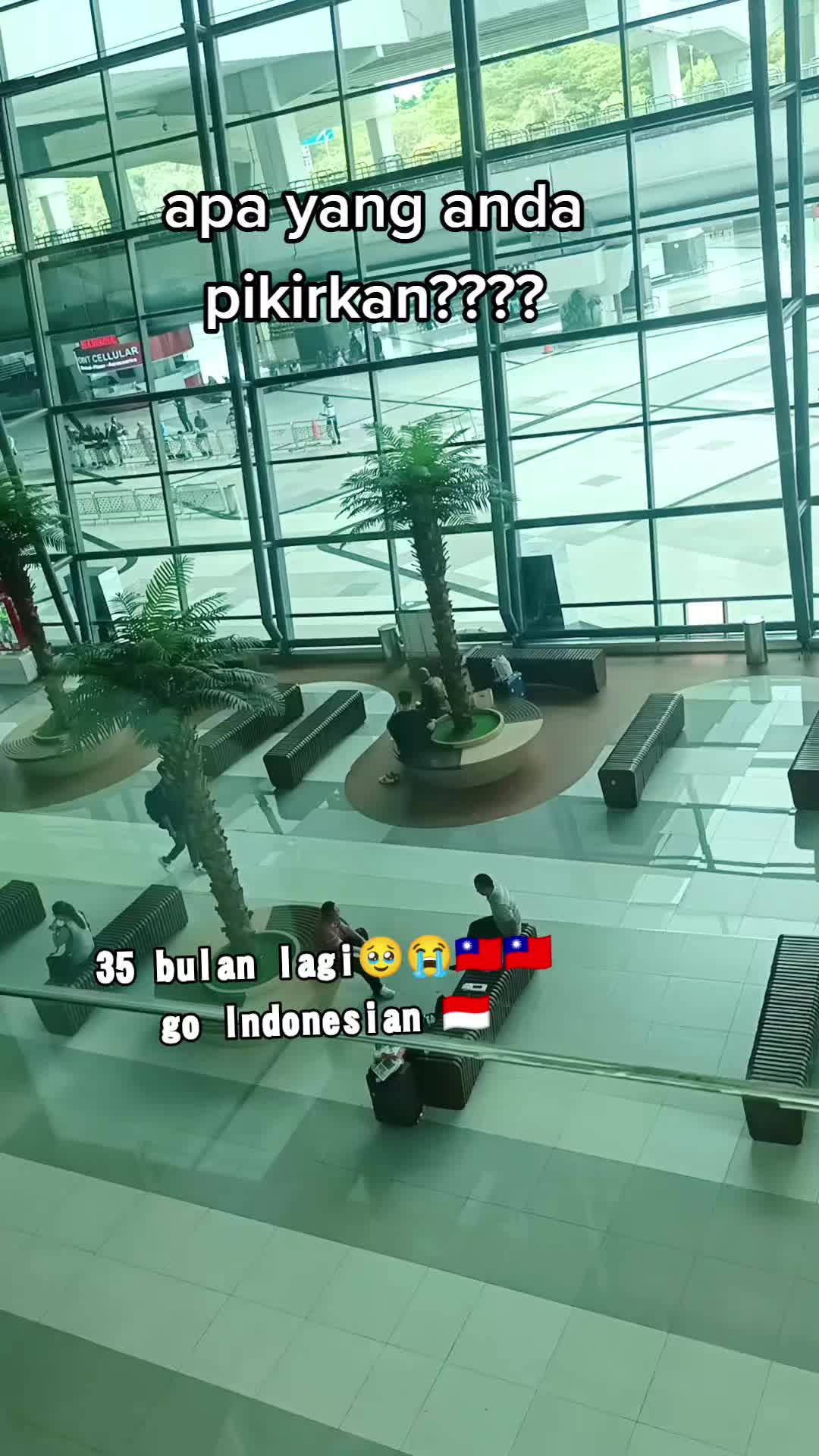 @INGES GEMOY