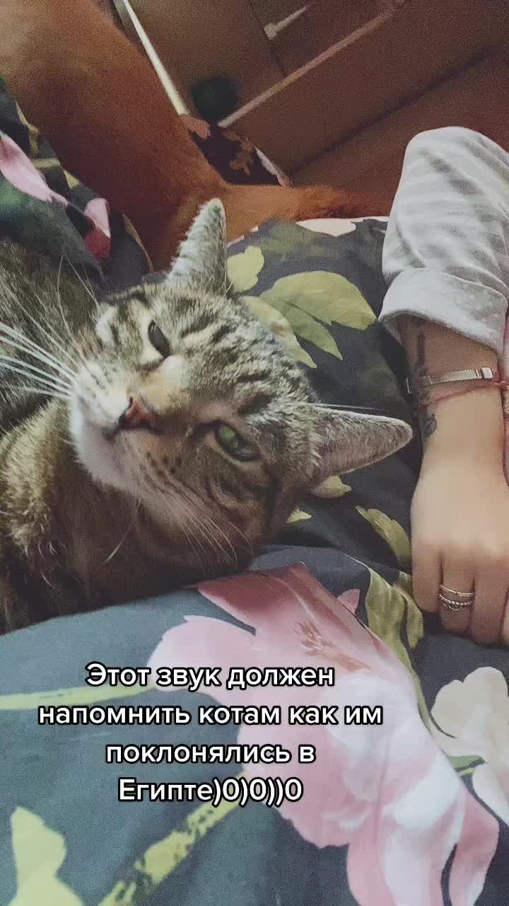 @Анастейша🙋🏽&zwj;♀️