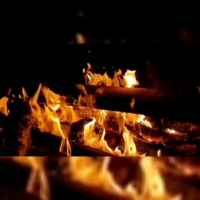 @🍺____SAPEHIA___🍺