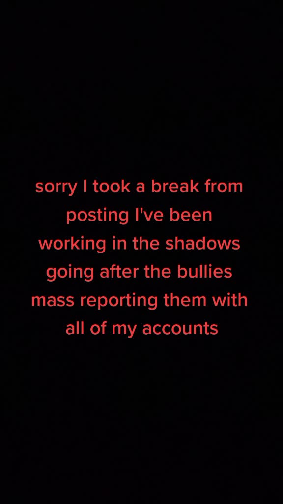 @I get bullies of tiktok banned