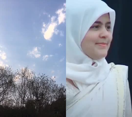 @محمد عبدا لبصير