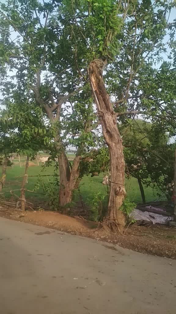 @స్మార్ట్ బాయ్ శివ ..