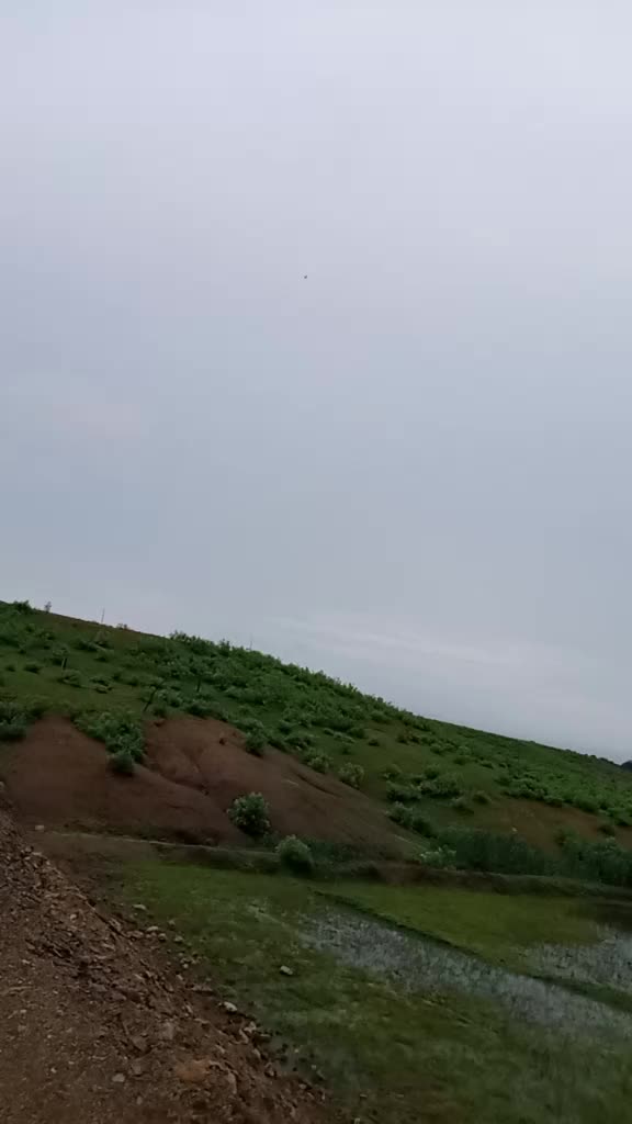 @kavita  rohit