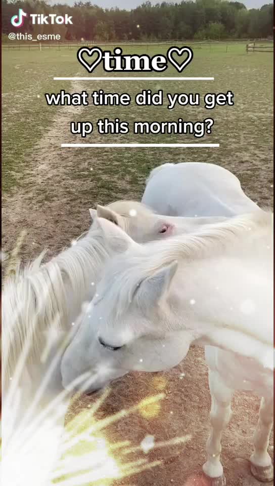 @𝐧𝐨𝐭𝐢𝐜𝐞𝐝 0𝐱