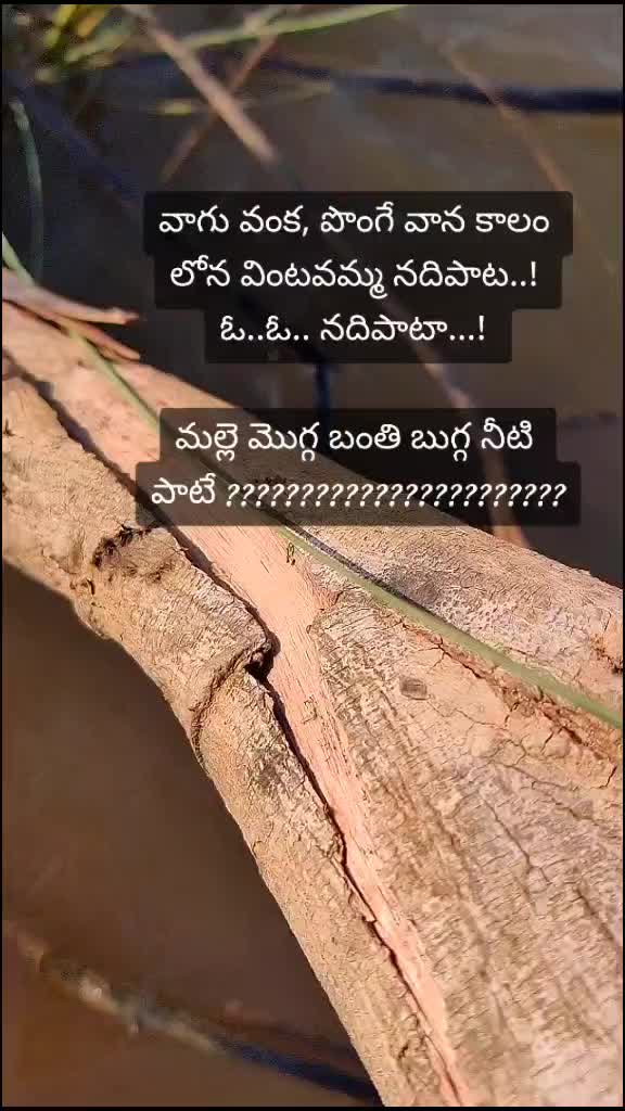 @Dhana Sekhar