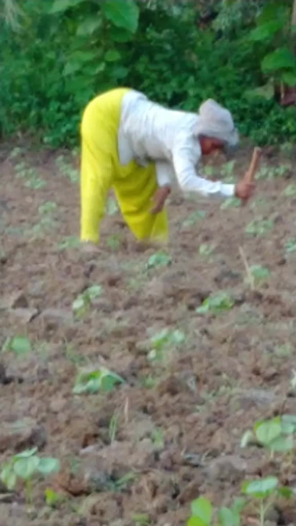 @Srinu Srinu