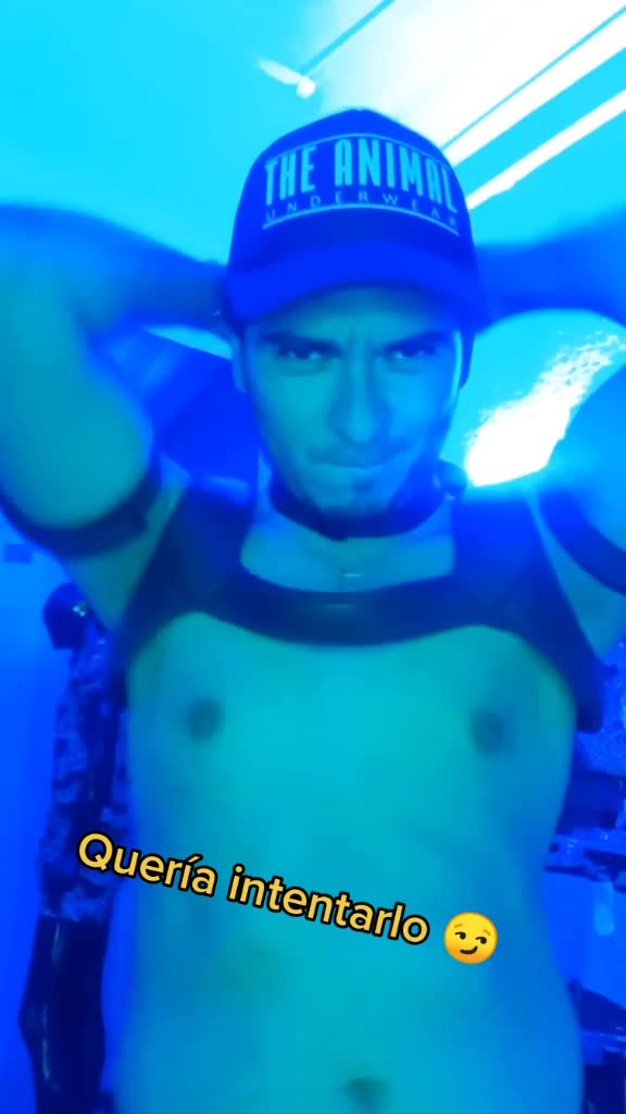 @The Animal Underwear Oficial